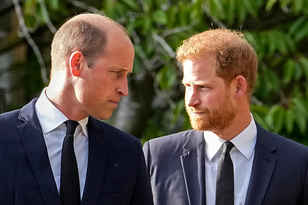 Komunikasi Terakhir Pangeran William untuk Meredakan Ketegangan dengan Harry